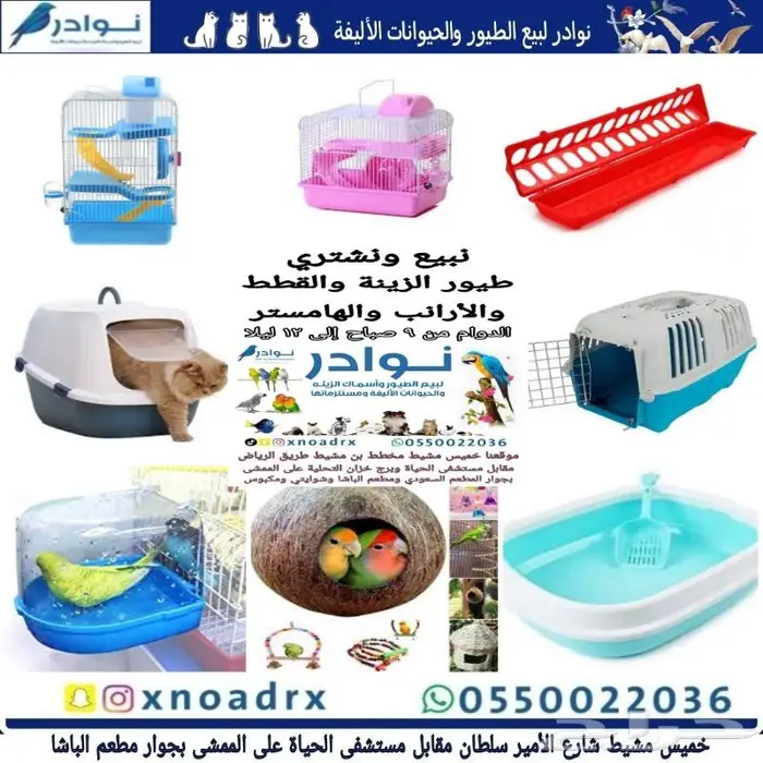طيور سمك سلاحف ارانب هامستر قطط محل نوادر 31