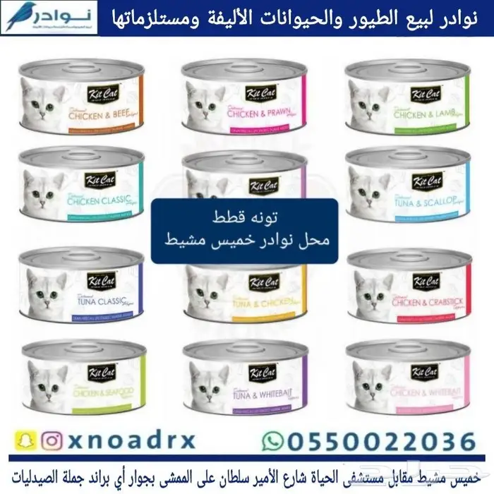 طيور سمك سلاحف ارانب هامستر قطط محل نوادر 9