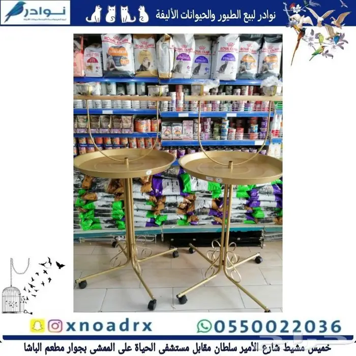 طيور سمك سلاحف ارانب هامستر قطط محل نوادر 37