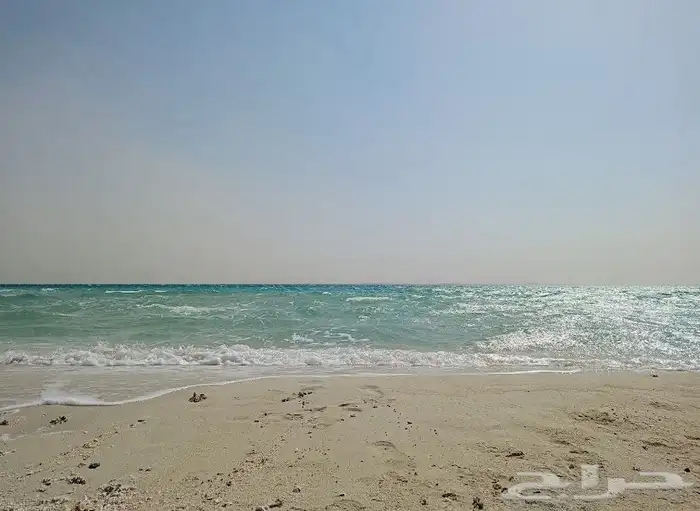رحلات بحرية ( كوارم ) ثول 7