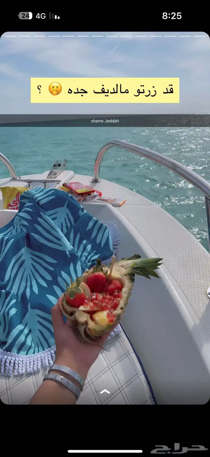 رحلات بحرية ( جزيرة بياضة   صيد   نزهة   حفلات ) 44