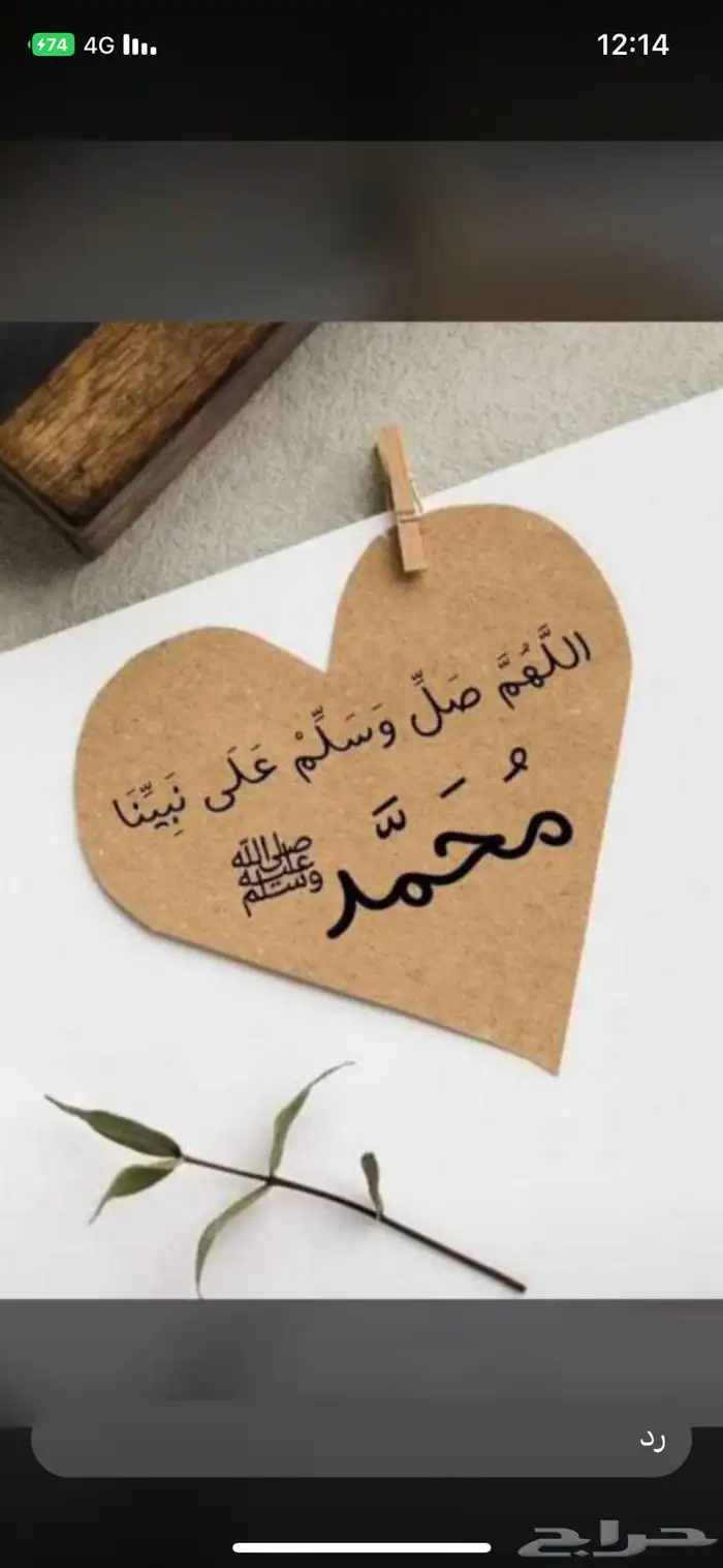 معلم خصوصي سعودي 0
