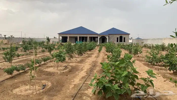 استراحة ومزرعه تم البيع 0
