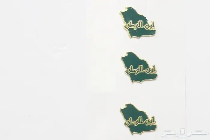 بروشات اليوم الوطني 5