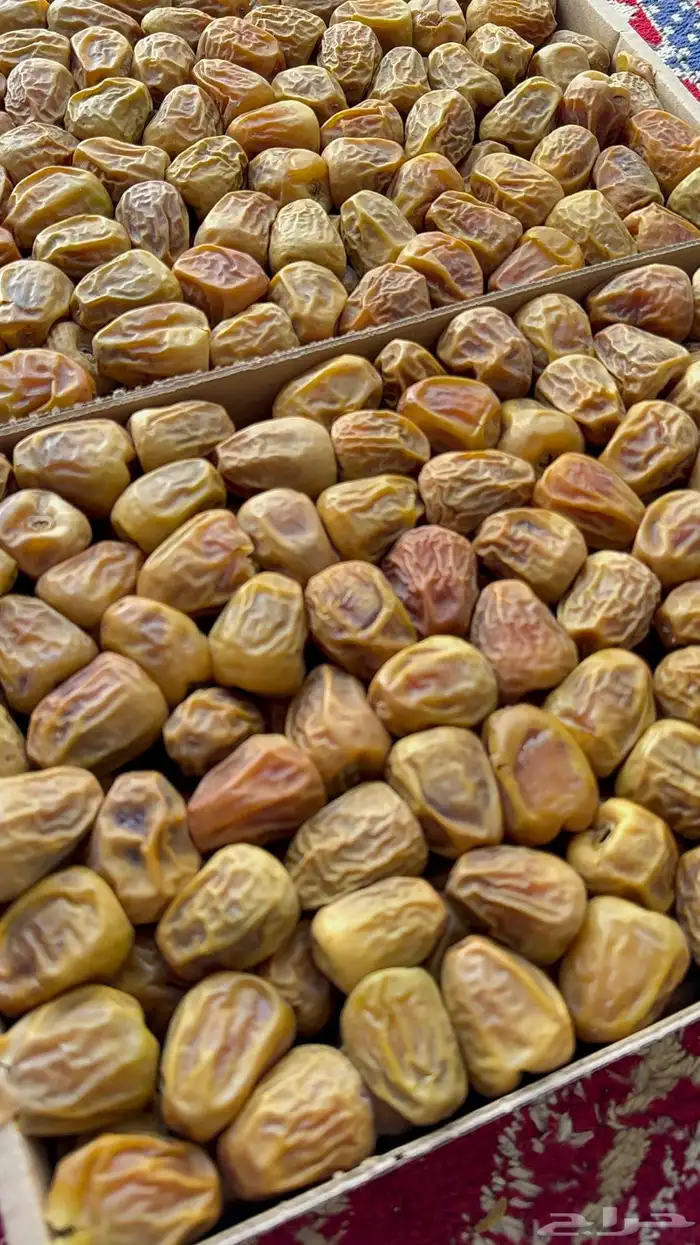 تمر سكري مفتل اصفر طيب العدد محدود 1