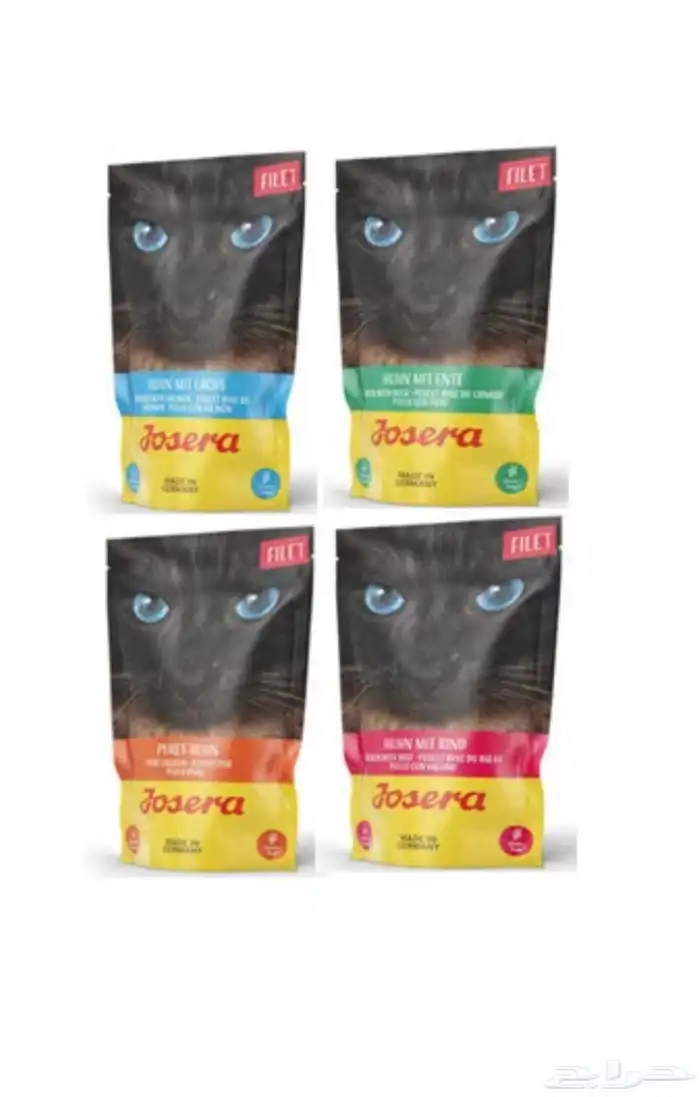 متجر Modi Birds مودي للحيوانات الاليفة 12