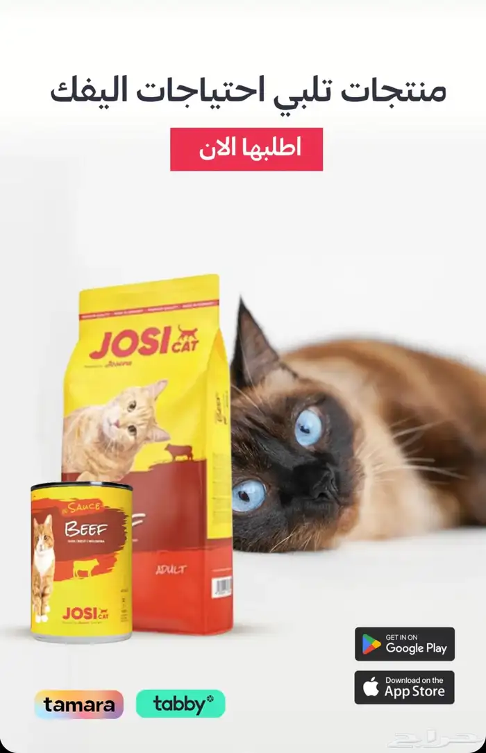 متجر Modi Birds مودي للحيوانات الاليفة 14