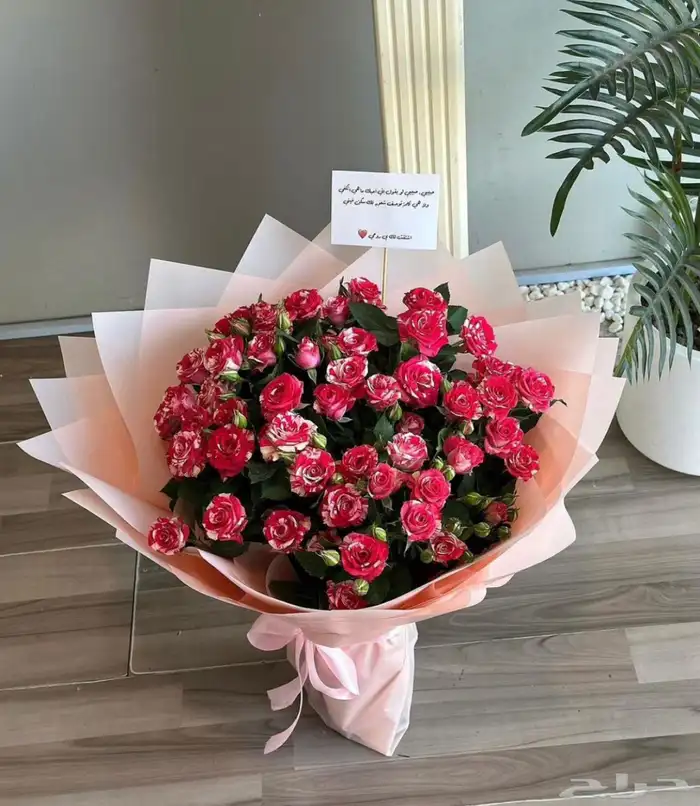 هدايا   الشرقية 3