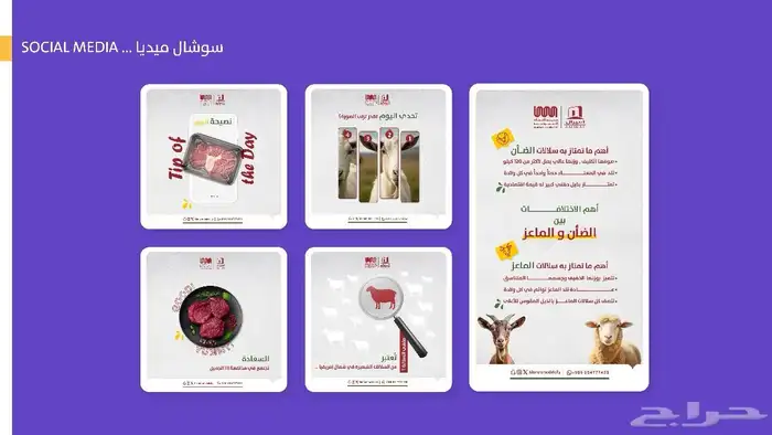 تصاميم -مصمة جرافيك 0