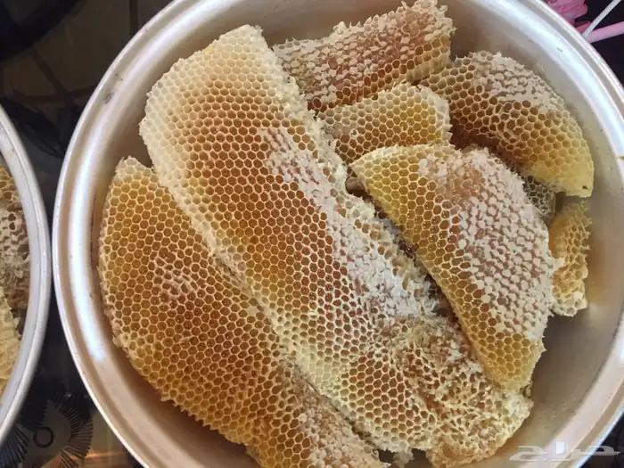 سمن وعسل بلدي ومحلي وسعر مناسب 2
