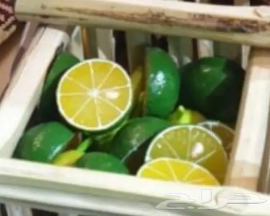 ميدالية الليمون الحساوي للبيع 1