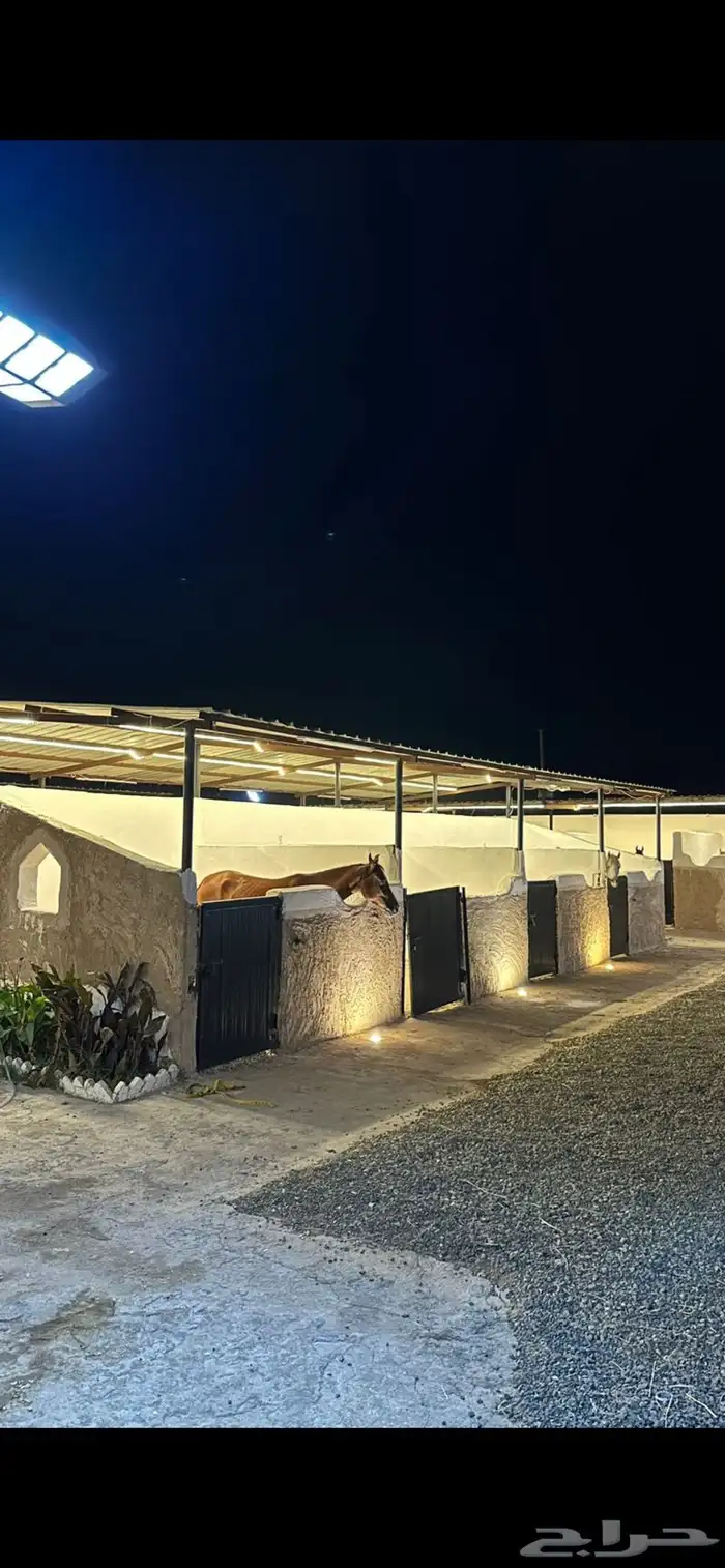 ايواء خيل غرف نشاره 3