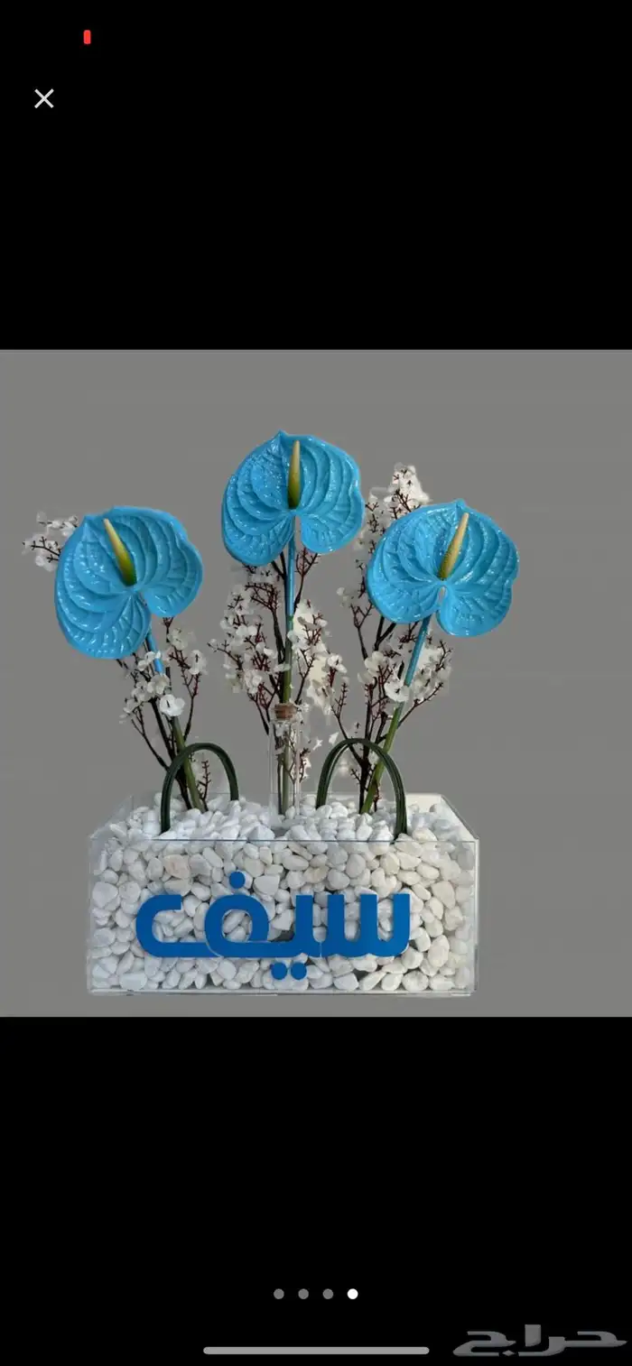 كوش وبوكيهات ورد 17