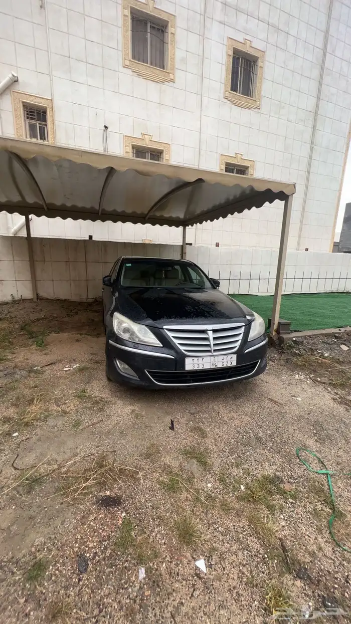 جينسس موديل 2013 12