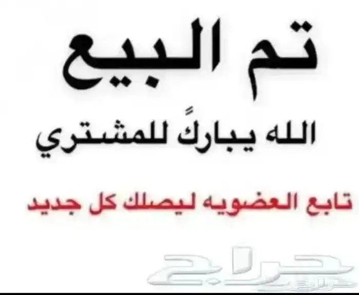 جاكوبين ( تم البيع ) 8