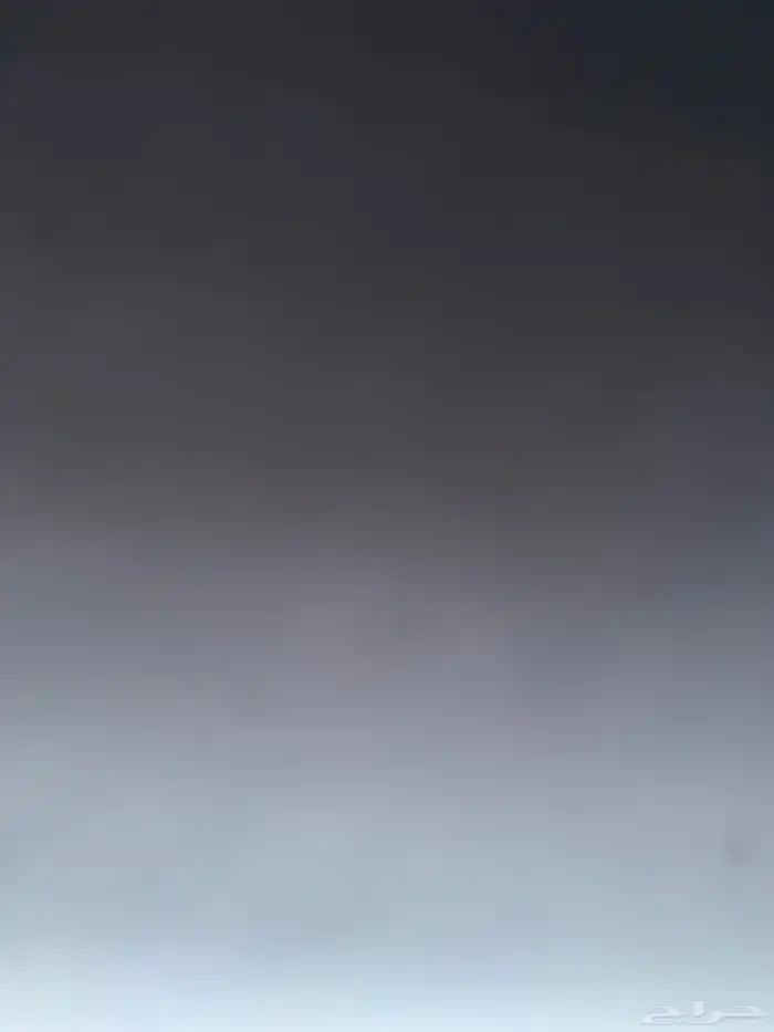 ارغب بدجاج بلدي بياض بسعر معقول من تربه او الطايف او عشيره 0