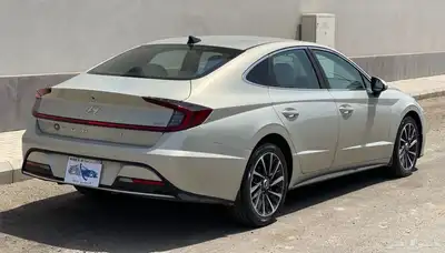 تم البيع 19