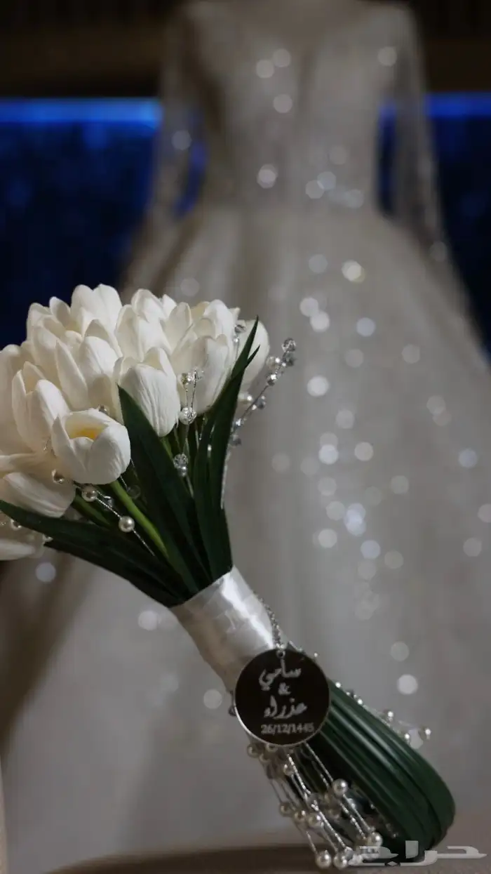 مصورة عرايس 4