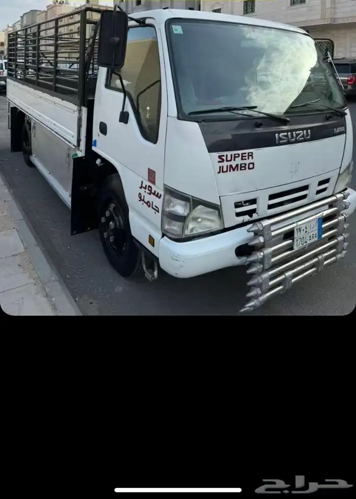 دينا شبك 0
