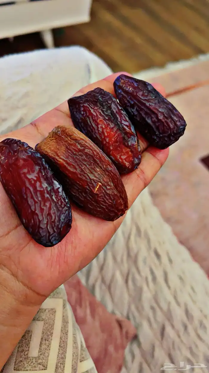 فسايل عنبره 5