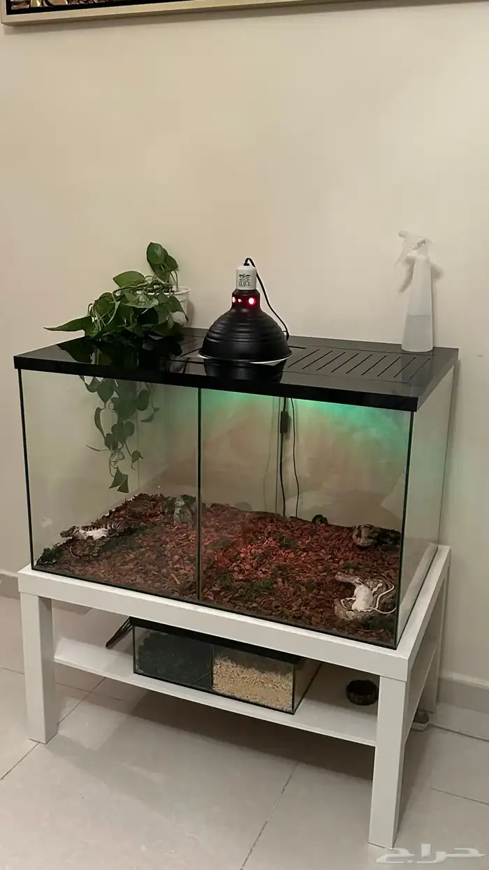 تفصيل أحواض زواحف 0