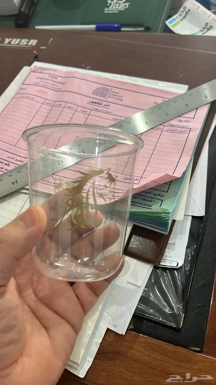 طباعة اكواب بوكس ورق زبده بوكسات ورق تغليف جيك قهوة كوب اكو 13