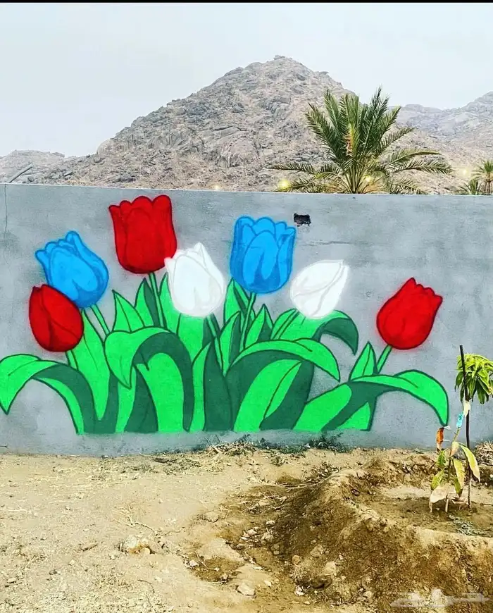 رسم جداريات  مدارس  استراحات  منازل  روضة  حضانة 38