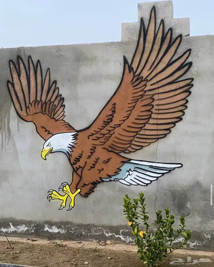 رسم جداريات  مدارس  استراحات  منازل  روضة  حضانة 15