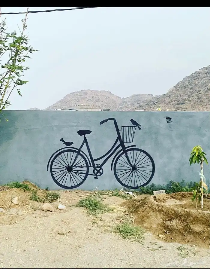 رسم جداريات  مدارس  استراحات  منازل  روضة  حضانة 37