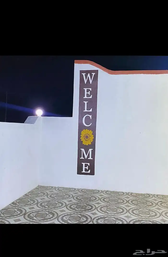 رسم جداريات  مدارس  استراحات  منازل  روضة  حضانة 42