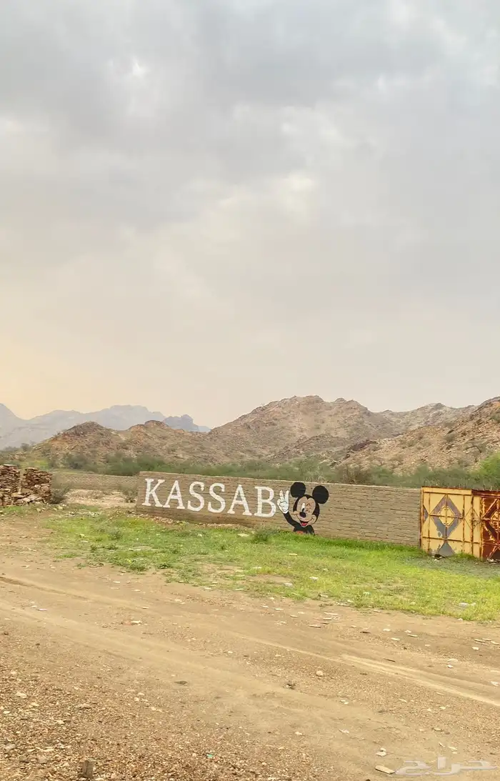 رسم جداريات  مدارس  استراحات  منازل  روضة  حضانة 34