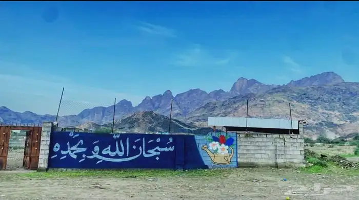 رسم جداريات  مدارس  استراحات  منازل  روضة  حضانة 11