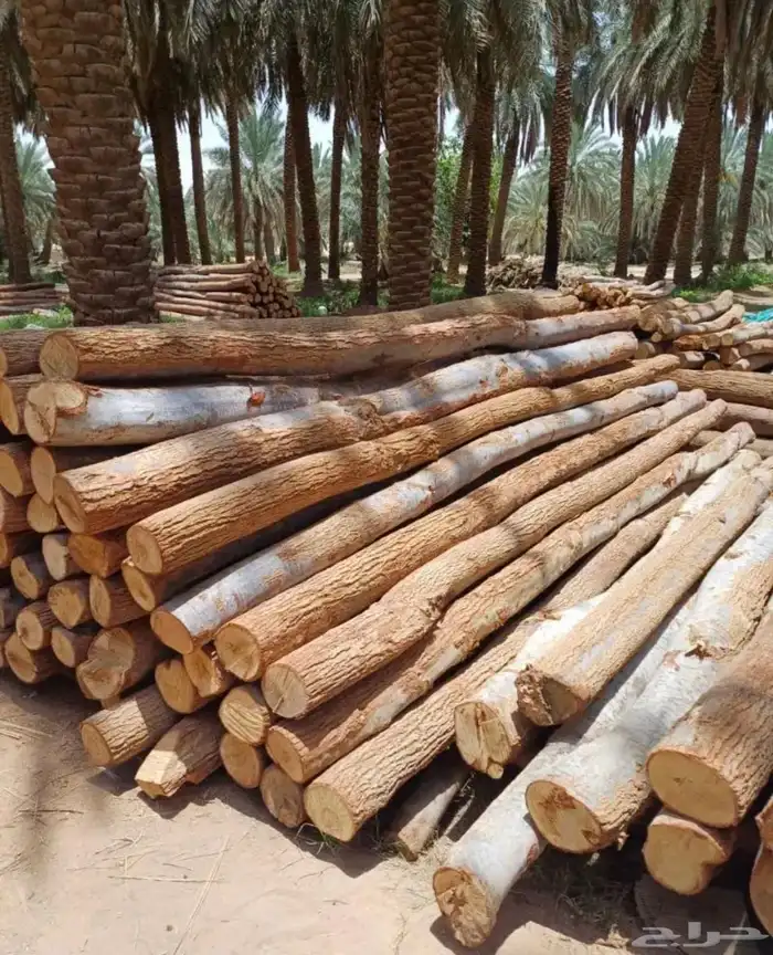 مقاول الشبوك والبيوت الطين التراثيه 20