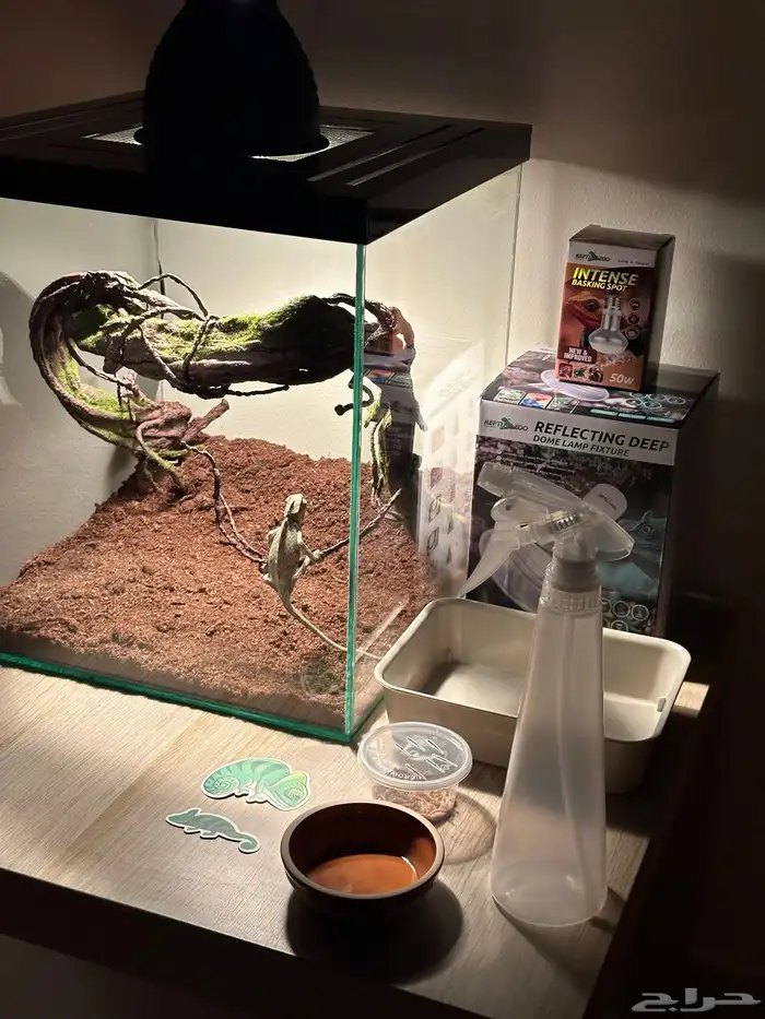 تفصيل أحواض زواحف 5