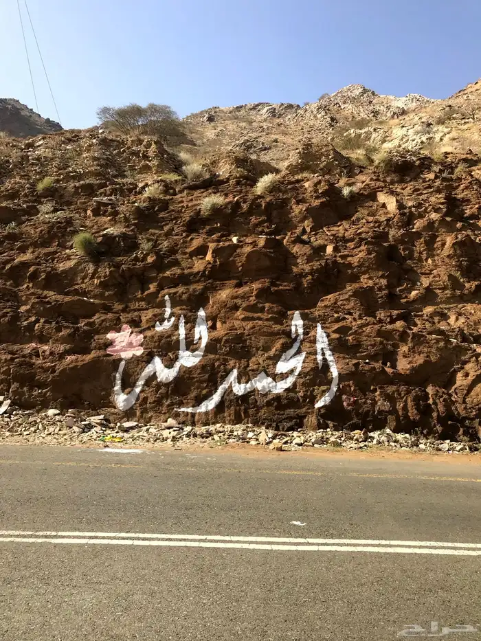 رسم جداريات  مدارس  استراحات  منازل  روضة  حضانة 61