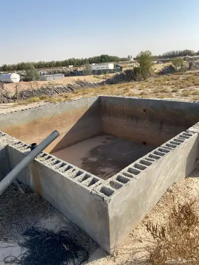 غنم مزارع 10
