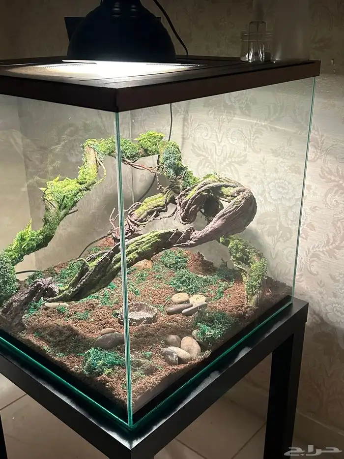 تفصيل أحواض زواحف 6