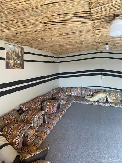غنم مزارع 18
