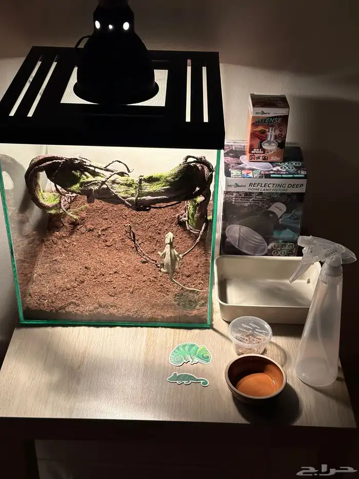 تفصيل أحواض زواحف 4