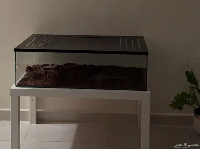 تفصيل أحواض زواحف 10