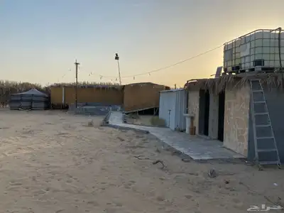 غنم مزارع 7