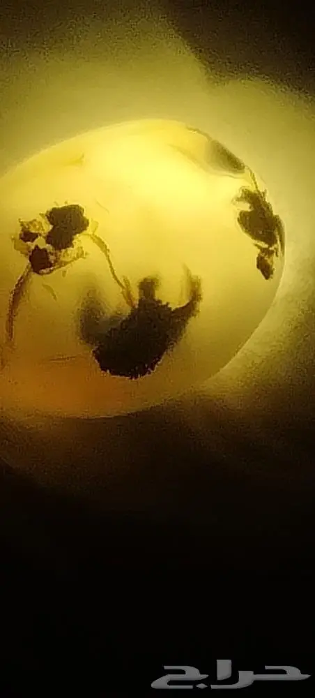 احجار عقيق 17