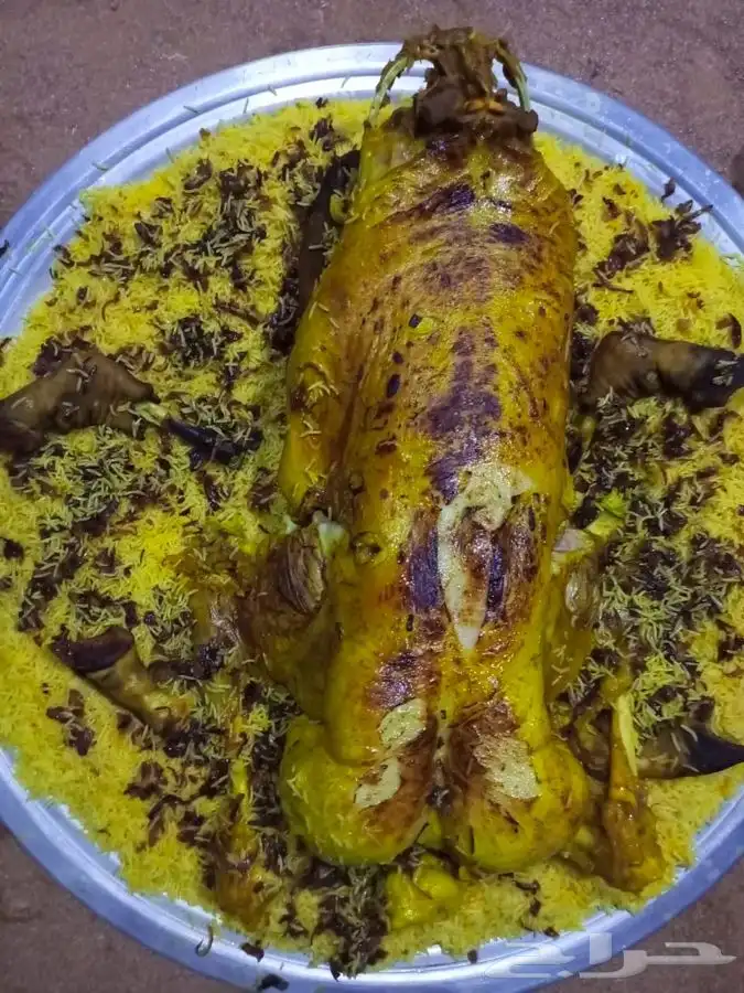 تجهيز طلعات ورحلات بريه حايل 30