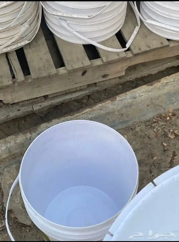 للبيع سطول للحمام او الدجاج نضاف شرط 2