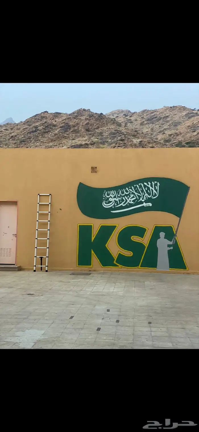 رسم جداريات  مدارس  استراحات  منازل  روضة  حضانة 12