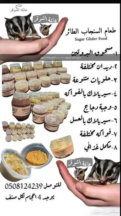 بيع اكل السنجاب الطائر 0