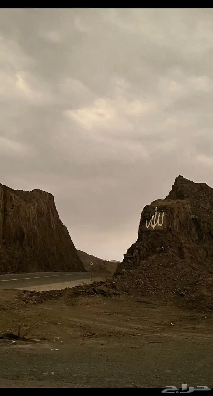 رسم جداريات  مدارس  استراحات  منازل  روضة  حضانة 33