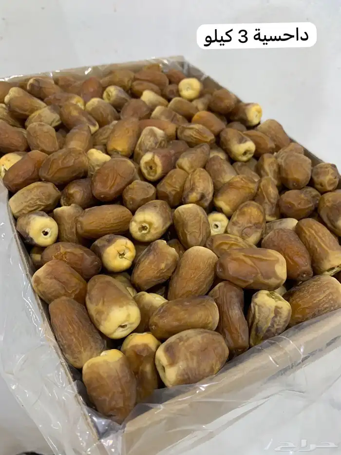 مناصيف ورطب تمر حائل شرط نظيف 2