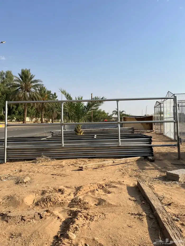 بواديك خيل ( بادوك خيل ) 3 متر   4 متر 2