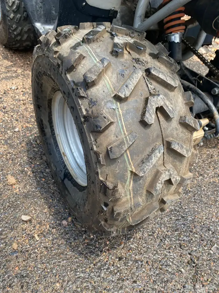 دبابين تايواني مقاس 100 2